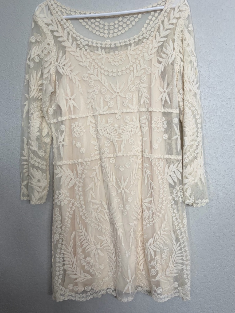 Express Ivory Embroidered Mini Dress